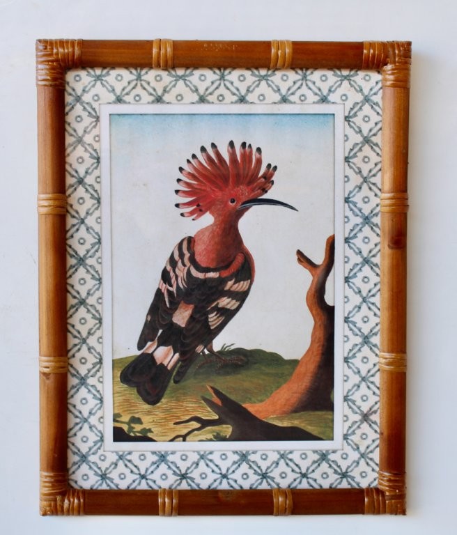 Hoepoe Bird Picture Bamboo Frame